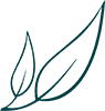 hyper wellbeing logo green 1 Infrared Sauna Brisbane